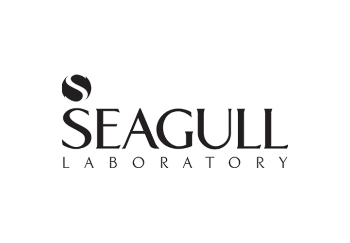 seagull : توضیحات کوتاه برند را در اینجا تایپ کنید.